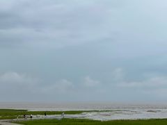 -南汇嘴观海公园