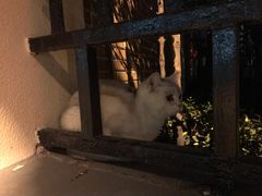 -龙门阵茶屋川菜馆(武康路店)