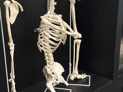 -TOP健身私教工作室(侨香店)