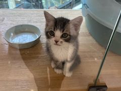 -高新活力汇Vitality