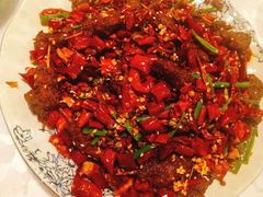 -付掌柜在成都·热炒砂锅集(金禾店)