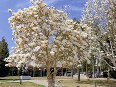 -国家图书馆·古籍馆