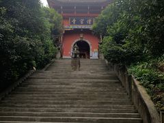 -铁山坪森林公园