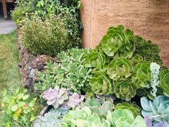-悦哉·派对·草坪婚礼·围炉煮茶(三圣乡店)