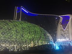 -昆明花之城豪生国际大酒店·怡享阁