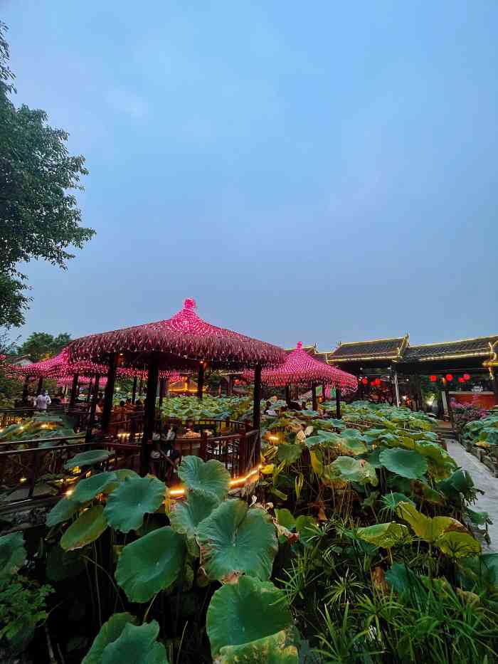 鲜龙井火锅公园南山店