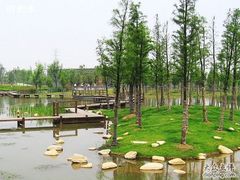 -白塘生态植物园