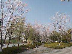 -澹台湖公园