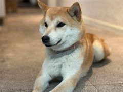-三目仓咖啡(贤南路店)
