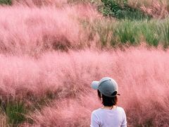 -嘉北郊野公园