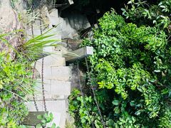 -水濂山森林公园