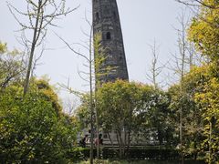 -上海佘山国家森林公园天马山园