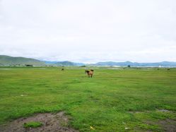 -纳帕海依拉草原