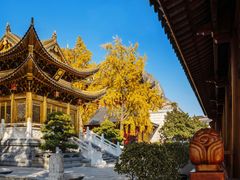 -上海东林寺(金山区)
