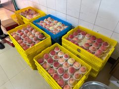 -老袁家蜜桃农场·阳山水蜜桃