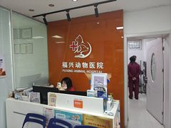 -瑞派福兴宠物医院犬猫全科·骨科·中西医结合(河东店)