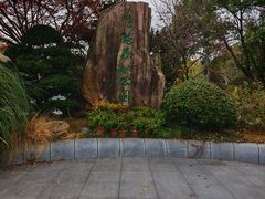 -昆山城市生态森林公园