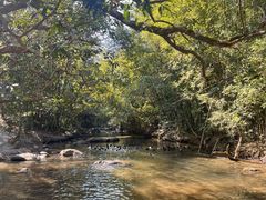 -象头山国家级自然保护区