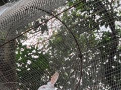 -南丹山森林王国