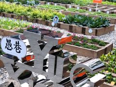 -堂屋糖水店(愚园店)