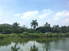 -莲湖山庄