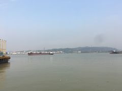-海鸥岛