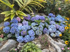 -人民公园(罗湖区)