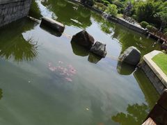 -厦门园林博览苑