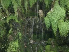 -海天一色海景自助餐厅(西港花园店)