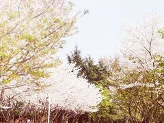 -白塘生态植物园