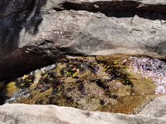 -黑龙潭风景区