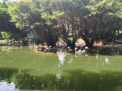 -九龙公园