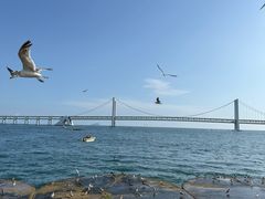 -星海广场