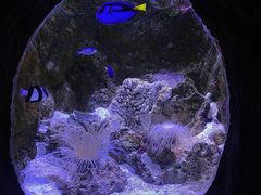 -杭州长乔极地海洋公园