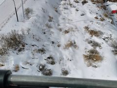 -大同万龙白登山国际滑雪场