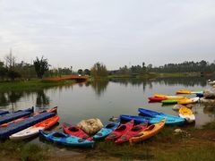 -白鹭湾湿地公园