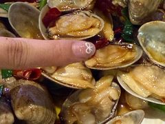 -潮庭·大连海鲜·炭火烧烤·扇贝王(大连店)