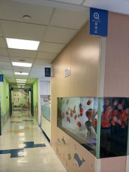 -杭州贝瑞斯美华妇儿医院·早孕·产检·儿科