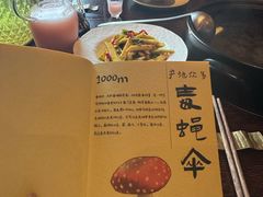 -滇野云南野生菌餐厅(陕西南路店)