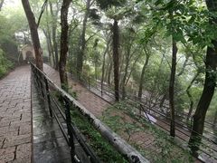 -上海佘山国家森林公园西佘山园