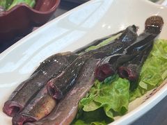 -洞子口重庆鲜货火锅(楚翘城旗舰店)