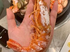 阿根廷大虾-乔哥铭洋海鲜自助(皇城恒隆广场店)