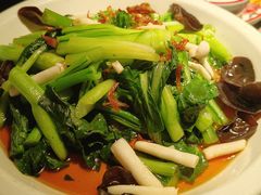 白灼菌菇菜心-新白鹿餐厅(虹桥南丰城店)