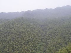-竹野·上|老字号全竹宴