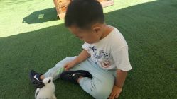 -萌宠亲子动物乐园(槐房万达店)