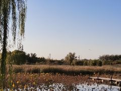 -马家湾湿地公园