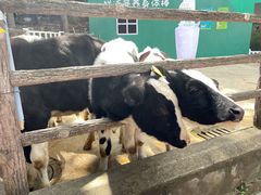 -昆明动物园