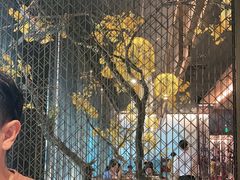 -京华烟云·北京烤鸭(领展购物广场·中关村店)