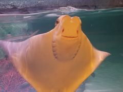 -沈阳海洋探索中心