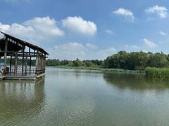 -溱湖国家湿地公园